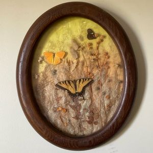 Vintage butterfly and wildflower framed diorama